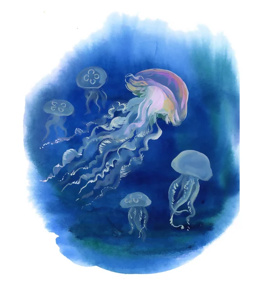 Watercolor Hand drawn jellyfish — Stock Photo, Image