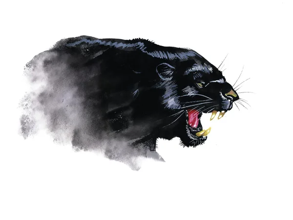 Panther handbemalte Aquarell-Illustration — Stockfoto