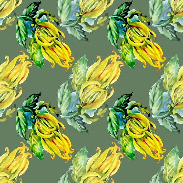 Seamless tropical flowers pattern — Stock Photo, Image