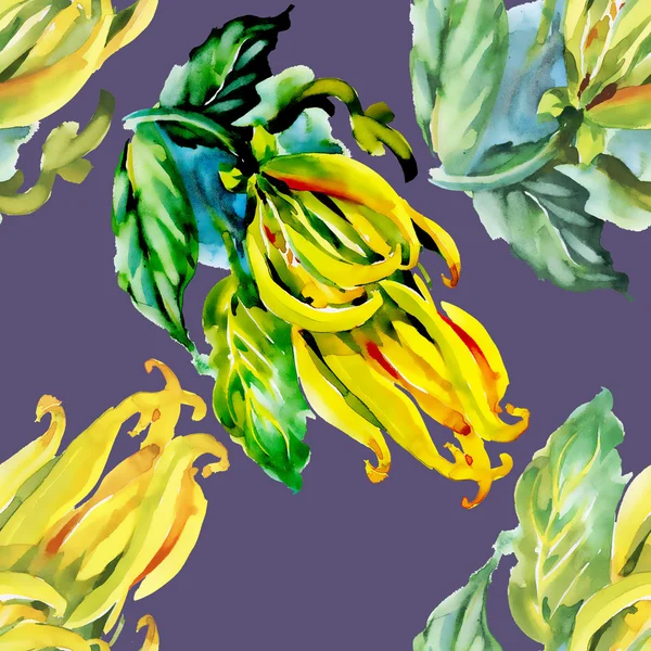 Nahtloses tropisches Blumenmuster — Stockfoto