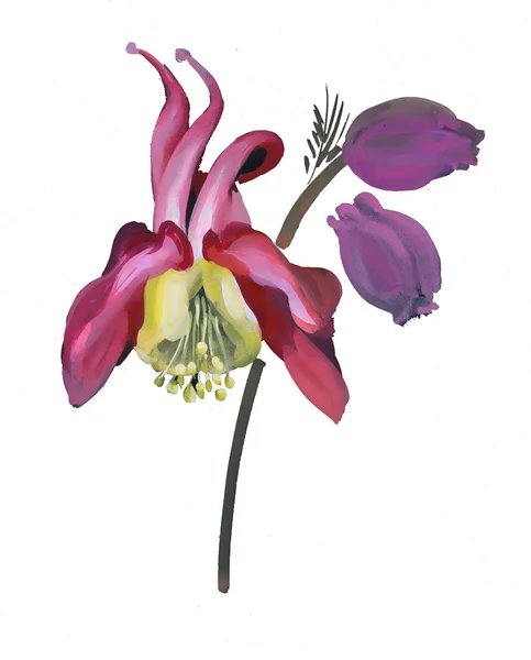 Pittura Bellissimi fiori — Foto Stock