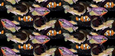 Deniz yaşamının kesintisiz arka plan