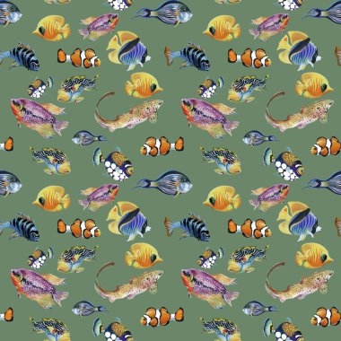 Deniz yaşamının kesintisiz arka plan