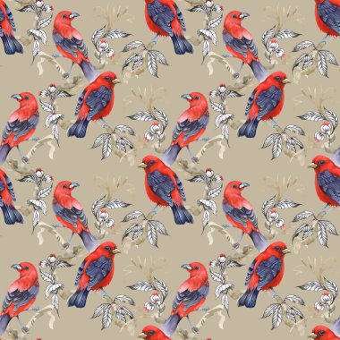 Grey dal üzerinde yabani egzotik kuşlar