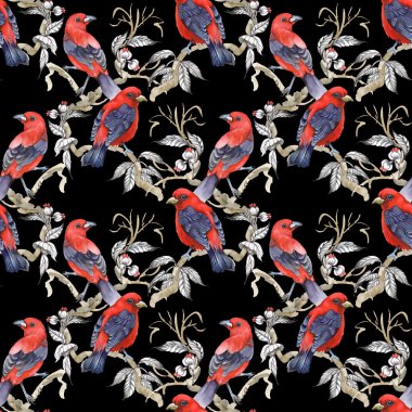 Dal üzerinde yabani egzotik kuşlar