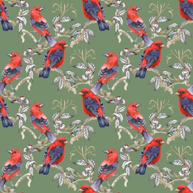 Yeşil dal üzerinde yabani egzotik kuşlar