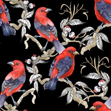 Siyah dal üzerinde yabani egzotik kuşlar