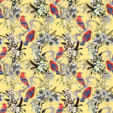 Vahşi egzotik kırmızı kuş sarı