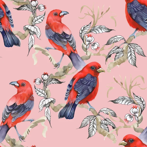 Aves exóticas selvagens em galho em rosa — Fotografia de Stock