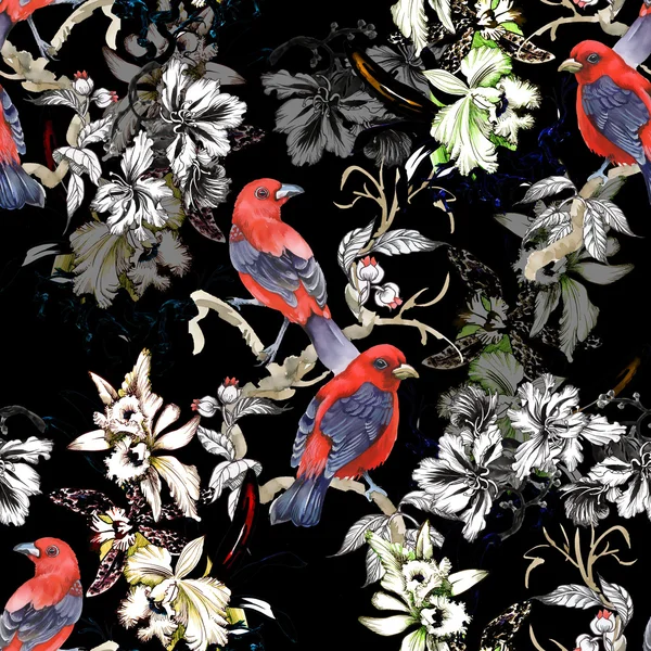 Uccelli rossi esotici selvatici su nero — Foto Stock