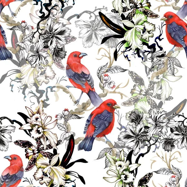 Beyaz egzotik kırmızı kuşlarda vahşi — Stok fotoğraf