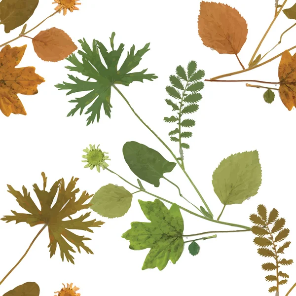 Aquarelle feuilles d'automne — Image vectorielle