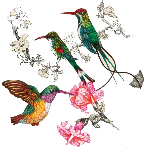 Aves en el jardín floreciente — Archivo Imágenes Vectoriales