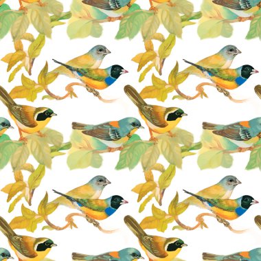 Çiçek bahçesinde kuşlar