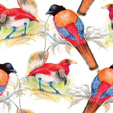 Çiçek bahçesinde kuşlar