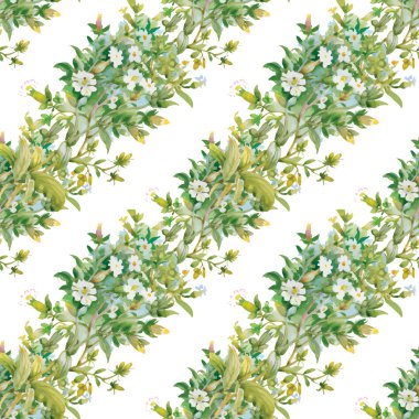 Yaz Bahçe çiçek açan çiçekler