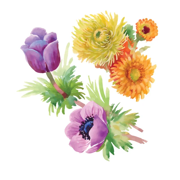 Mooie bloemen in bloei — Stockvector