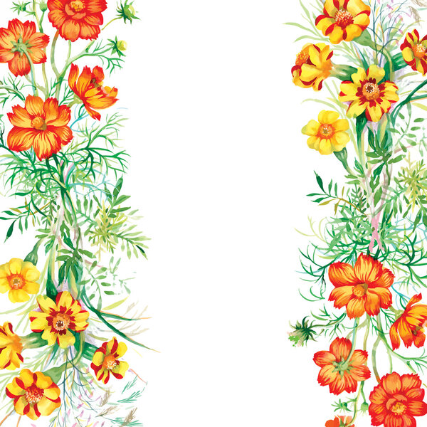 Summer garden blooming flowers