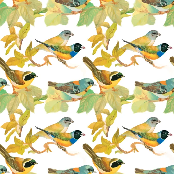 Oiseaux dans le jardin en fleurs — Image vectorielle