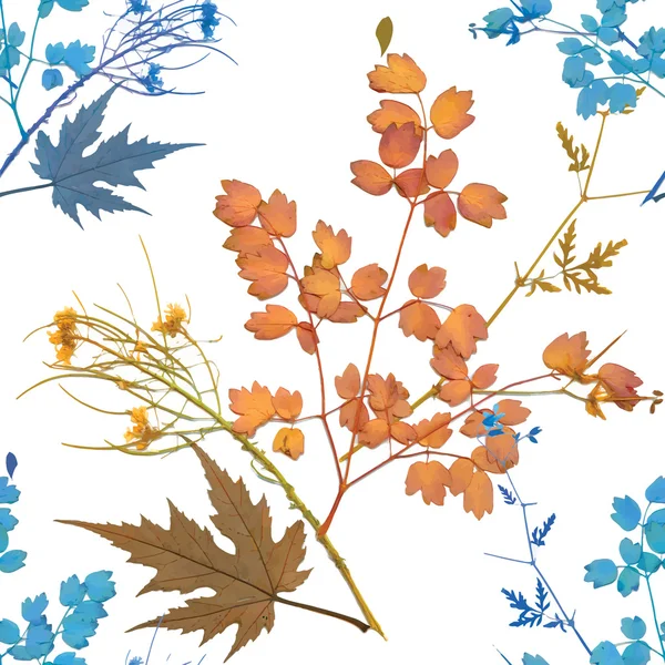 Acuarela hojas de otoño — Vector de stock