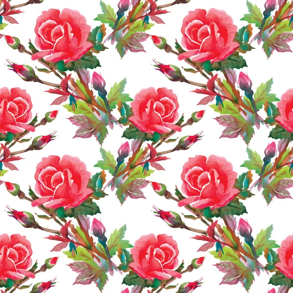 Roses aquarelle Fleurs — Image vectorielle