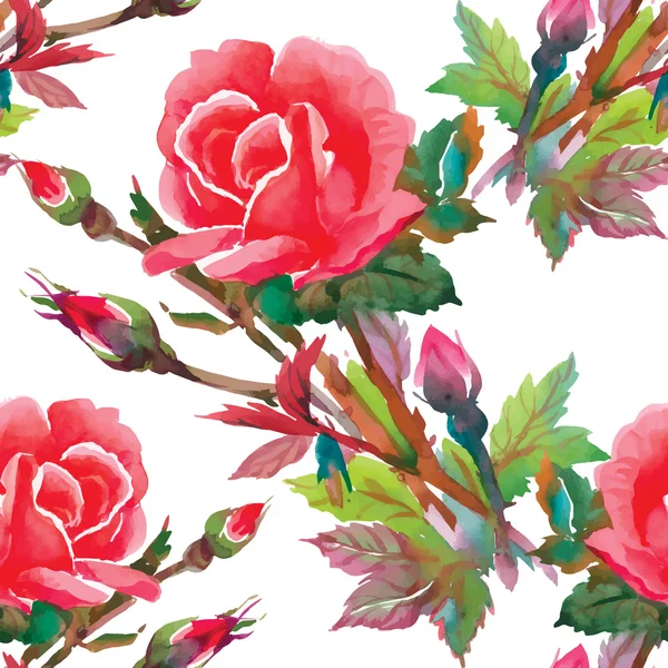 Roses aquarelle Fleurs — Image vectorielle