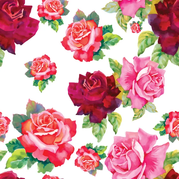 Akvarell Rózsa virágok — Stock Vector