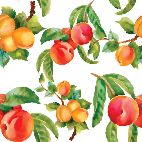 Ripe  peaches and apricots — Stock Vector