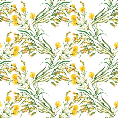 Yaz Bahçe çiçek açan çiçekler