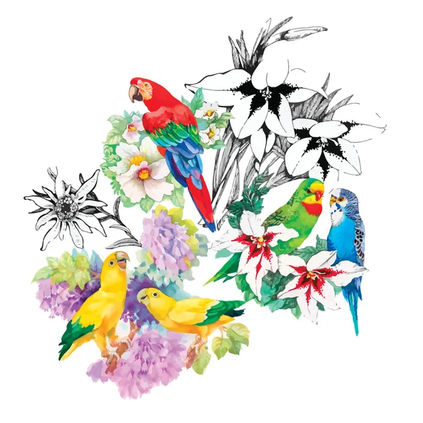 Oiseaux dans le jardin en fleurs — Image vectorielle