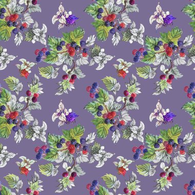 Olgun yaz dut ve ahududu