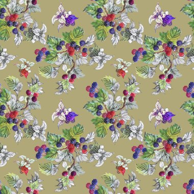 Olgun yaz dut ve ahududu