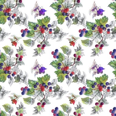 Olgun yaz dut ve ahududu