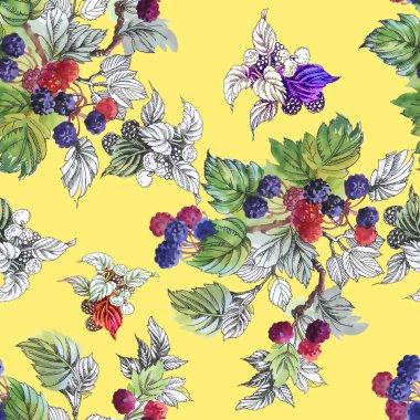 Olgun yaz dut ve ahududu