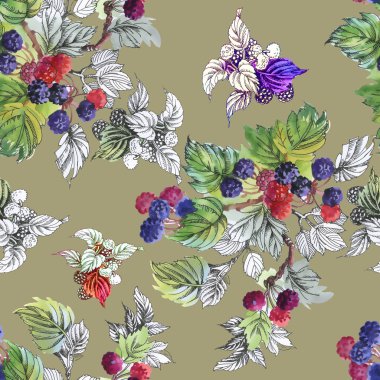 Olgun yaz dut ve ahududu