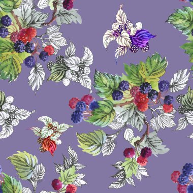 Olgun yaz dut ve ahududu