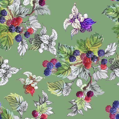 Olgun yaz dut ve ahududu