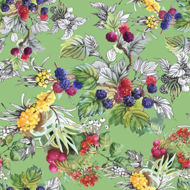 Deniz buck-diken dut ve ahududu