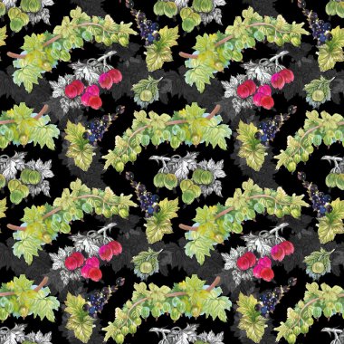 Olgun Frenk üzümü ve bektaşi desen