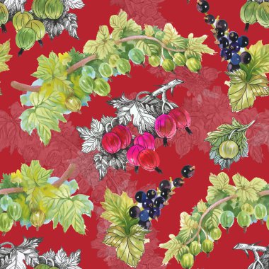 Olgun Frenk üzümü ve bektaşi desen