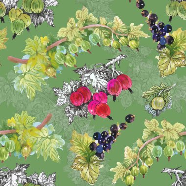 Olgun Frenk üzümü ve bektaşi desen