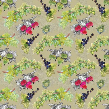 Olgun Frenk üzümü ve bektaşi desen