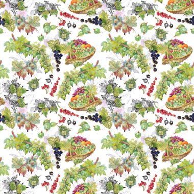 Olgun Frenk üzümü ve bektaşi desen