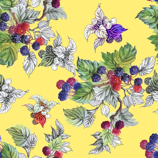 Olgun yaz dut ve ahududu