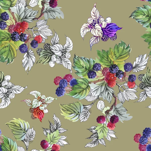 Olgun yaz dut ve ahududu