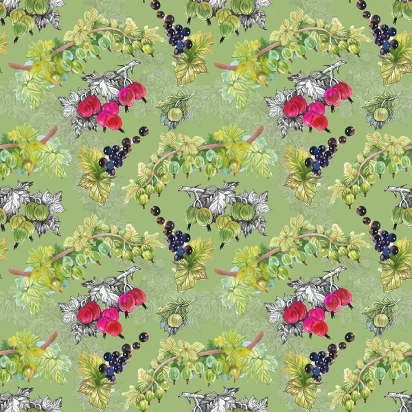 Olgun Frenk üzümü ve bektaşi desen