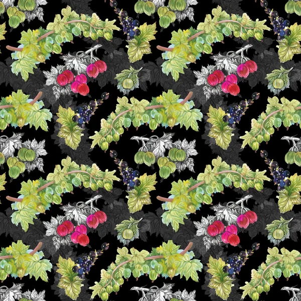 Olgun Frenk üzümü ve bektaşi desen