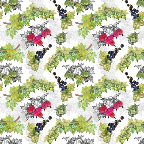 Olgun Frenk üzümü ve bektaşi desen