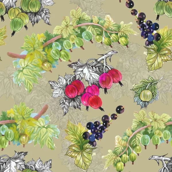 Olgun Frenk üzümü ve bektaşi desen