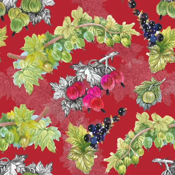 Olgun Frenk üzümü ve bektaşi desen